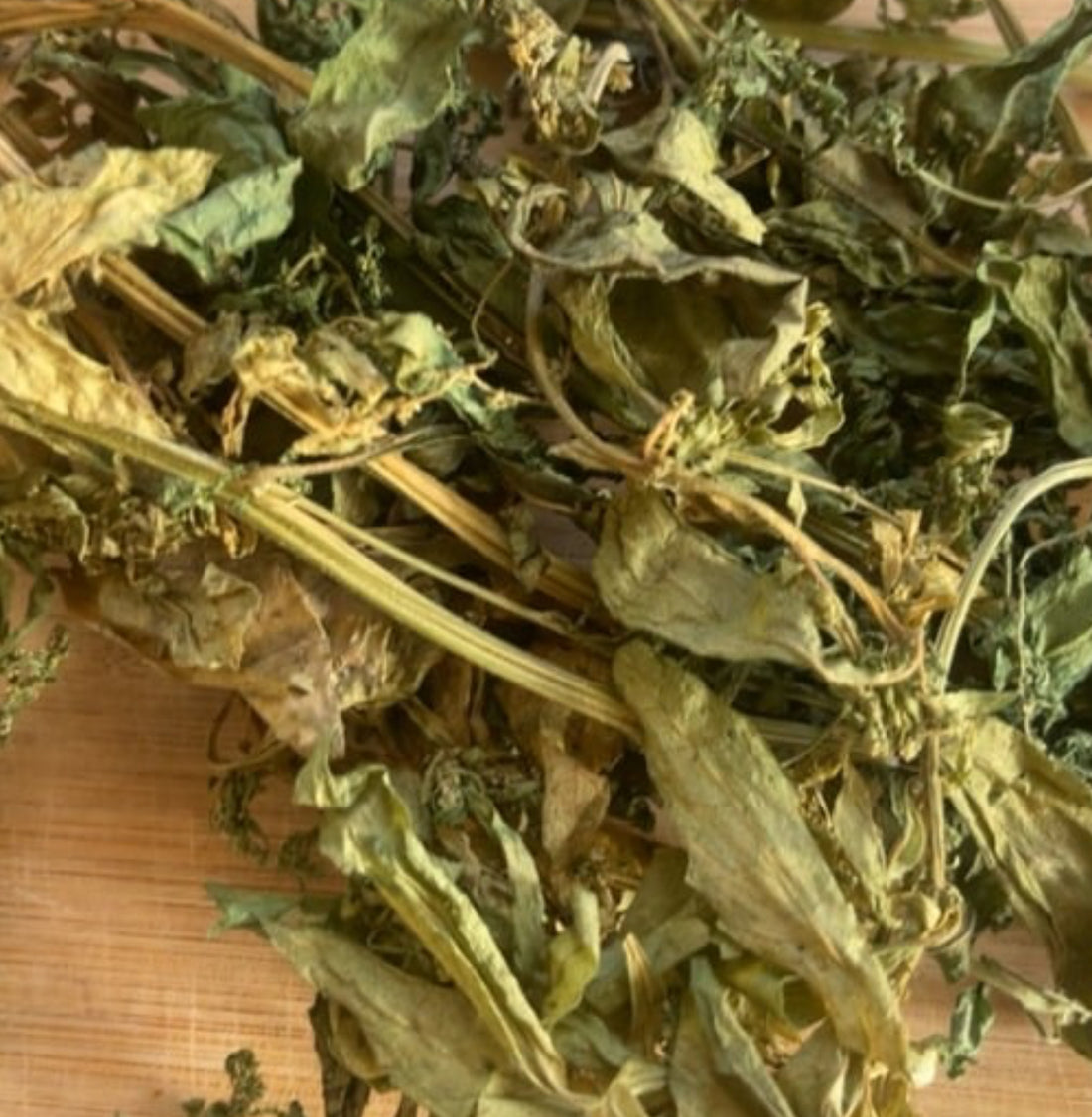 Semi Contrac (Epazote) – Natural Parasite Cleanser & Digestive Support Herb | Dysphania ambrosioides