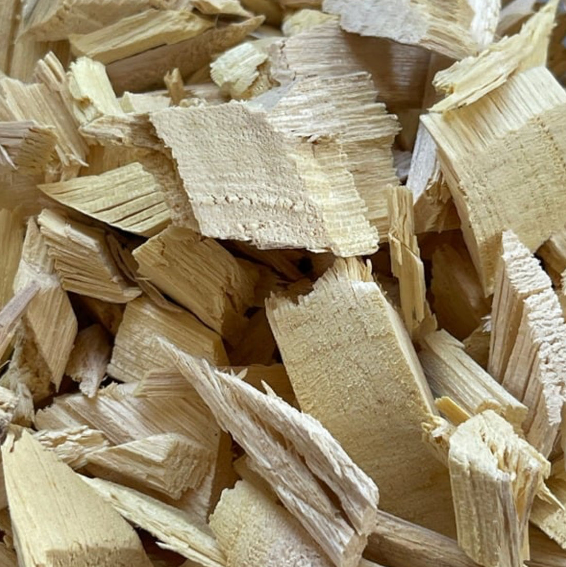 Jamaican Bitterwood (Quassia amara) – Powerful Digestive, Parasite & Blood Sugar Support | Cut & Sifted