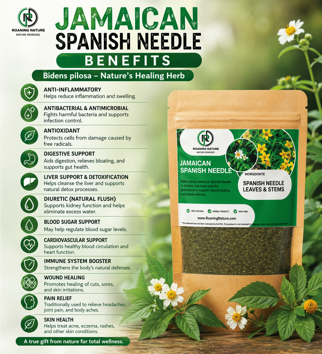 Spanish Needle (Bidens pilosa) – Anti-Inflammatory, Blood Purifier & Immune Booster | Cut & Sifted