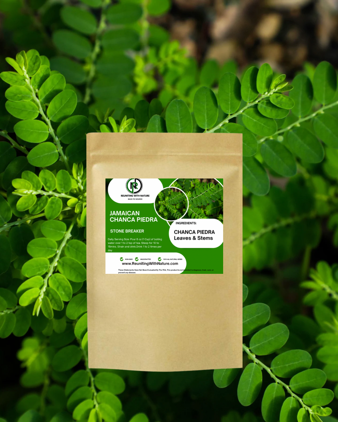 Jamaican Chanca Piedra “Stone Breaker” | Kidney, Liver & Detox Support | 100% Wild-Harvested Herb
