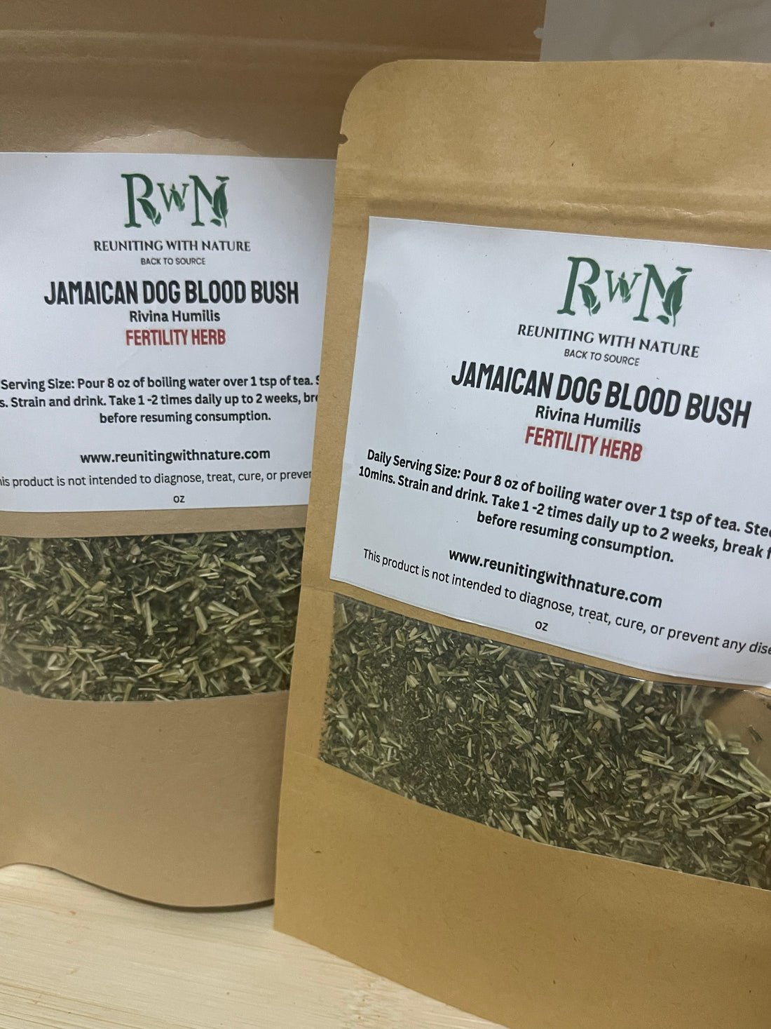 Jamaican Dog Blood - Rivina Humilis - Fertility Bush